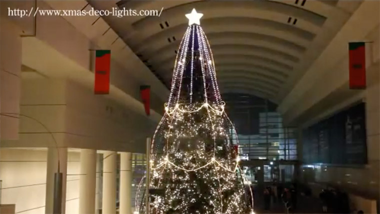 シンギングツリー2012