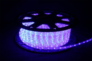 LEDロープライト（チューブライト） 10mm2芯 カット単位2m 【部品別売り】 ブルー（青）