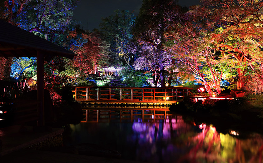 大阪 太閤園 で初のイルミネーション ガーデンイルミネーション かさねの色目 日本の伝統色 が開催中 イルミラボ