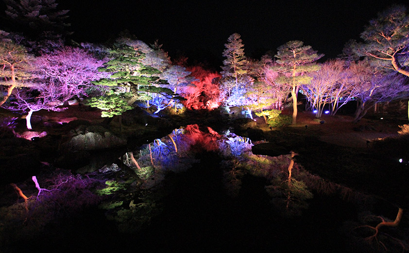 日本庭園に煌めくイルミネーションが人気の「黄金の島ジパング」