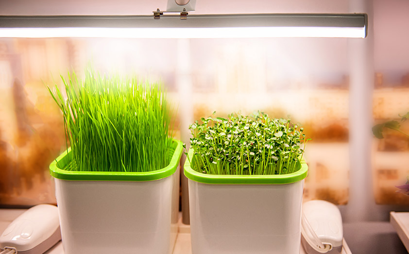 2022年最新海外 屋内植物ライト 野菜のための花のための植物のためのアルミニウム植物成長ライト mateo-appartement.de