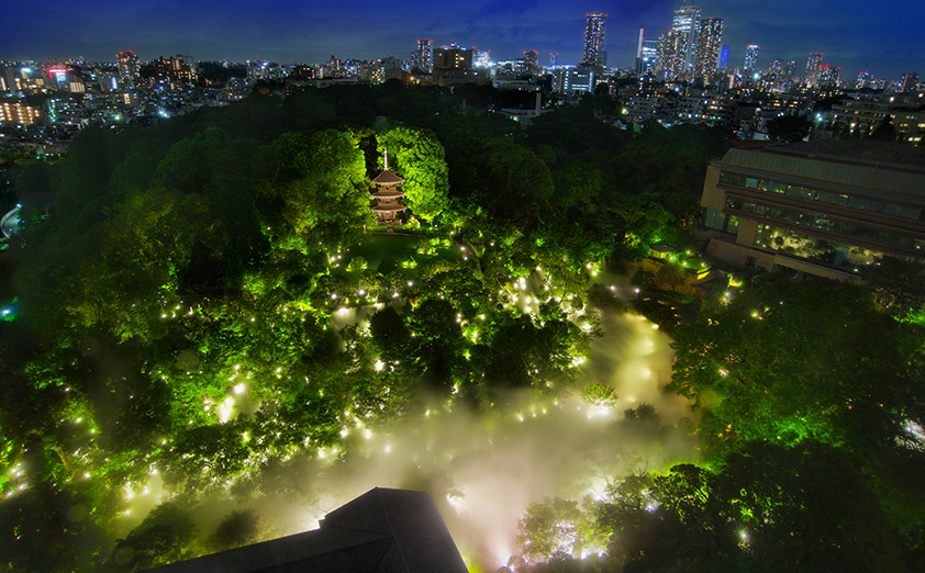 夜の庭園を彩る「千の光のライトアップ」も同時開催中