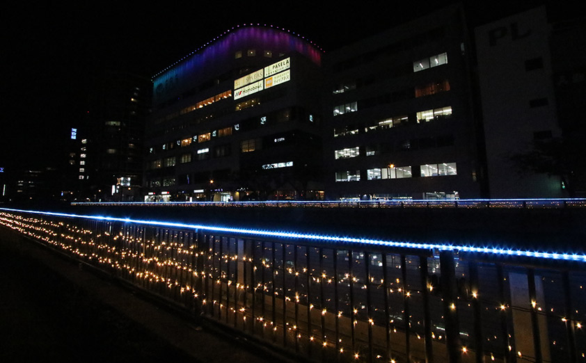 横浜最大級のイルミネーション「ヨコハマミライト」も開催中