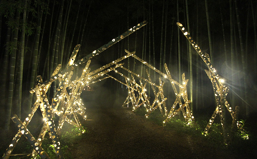 冬季限定の竹林ライトアップが今年も開催