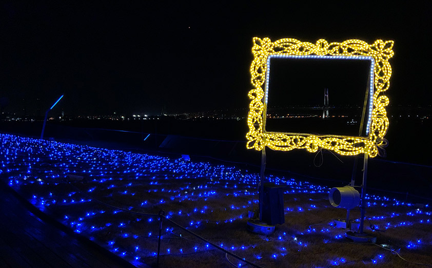 横浜の夜景をバックに楽しめるフォトジェニックイルミネーション